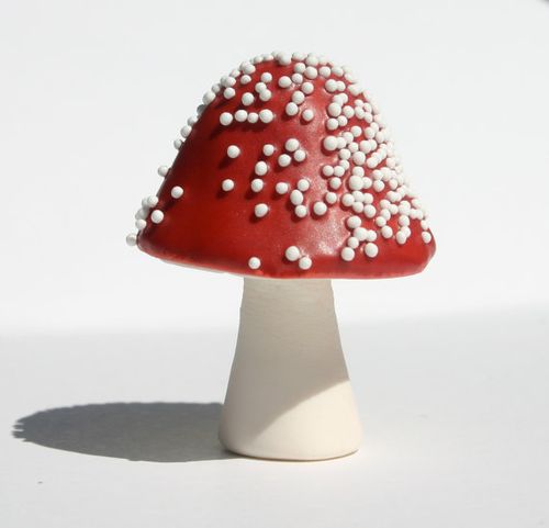Edible A Mushroom 2